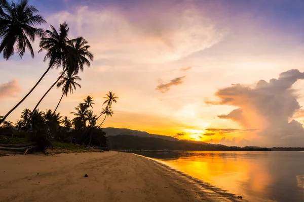 Beautiful Outdoor View Ocean Beach Tropical Coconut Palm Sunrise Time — стоковое фото