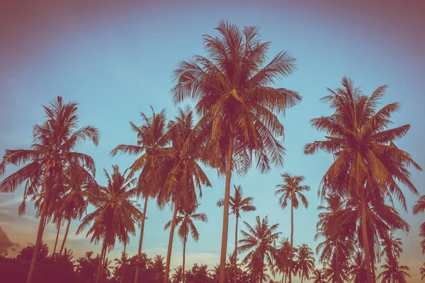 Gökyüzü günbatımı zaman - Vintage filtre tropikal doğa ve siluet Hindistan cevizi hurma ağacı ile güzel açık görünüm