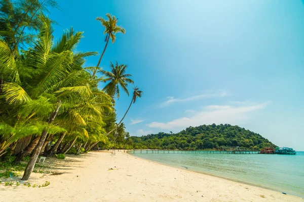 Güzel tropikal plaj ve deniz paradise Island Seyahat ve tatil için Hindistan cevizi hurma ağacı