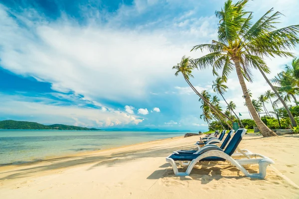 Güzel tropikal plaj ve Hindistan cevizi hurma ağacı ve Cennet Adası sandalyede denize sıfır