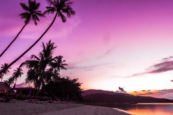 Krásné Venkovní Pohled Oceán Pláž Tropické Kokosu Palmou Době Východu — Stock fotografie