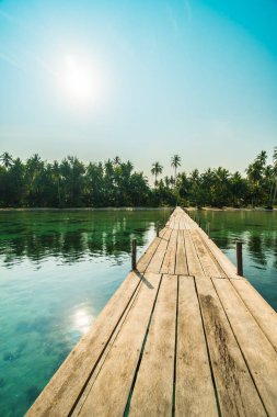 Ahşap köprü ya da plaj ve deniz Hindistan cevizi hurma ağacı - tatil tatil ve seyahat kavramı ile cennet adası iskelede