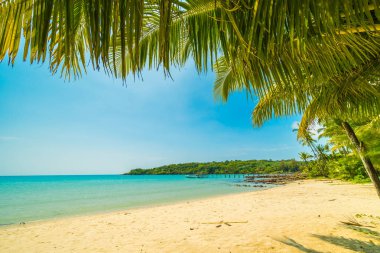 Güzel tropikal plaj ve deniz paradise Island Seyahat ve tatil için Hindistan cevizi hurma ağacı