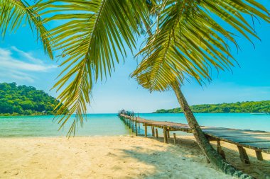 Güzel tropikal plaj ve deniz paradise Island Seyahat ve tatil için Hindistan cevizi hurma ağacı