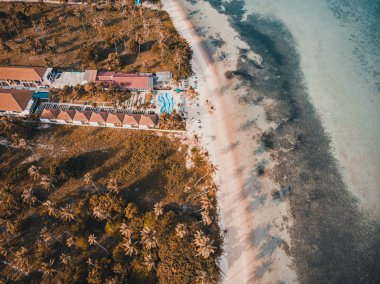 Güzel tropikal plaj ve deniz hurma ve koh samui Adası seyahat ve tatil için diğer ağacında havadan görünümü