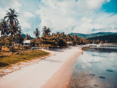 Güzel tropikal plaj ve deniz hurma ve koh samui Adası seyahat ve tatil için diğer ağacında havadan görünümü