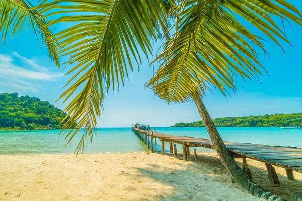 Güzel tropikal plaj ve deniz paradise Island Seyahat ve tatil için Hindistan cevizi hurma ağacı