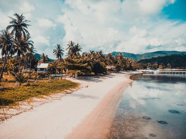 Güzel tropikal plaj ve deniz hurma ve koh samui Adası seyahat ve tatil için diğer ağacında havadan görünümü