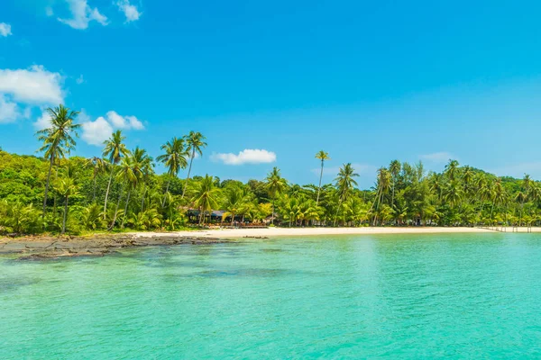 Güzel tropikal plaj ve deniz paradise Island Seyahat ve tatil için Hindistan cevizi hurma ağacı