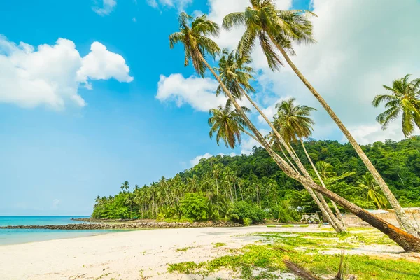 Güzel tropikal plaj ve deniz paradise Island Seyahat ve tatil için Hindistan cevizi hurma ağacı