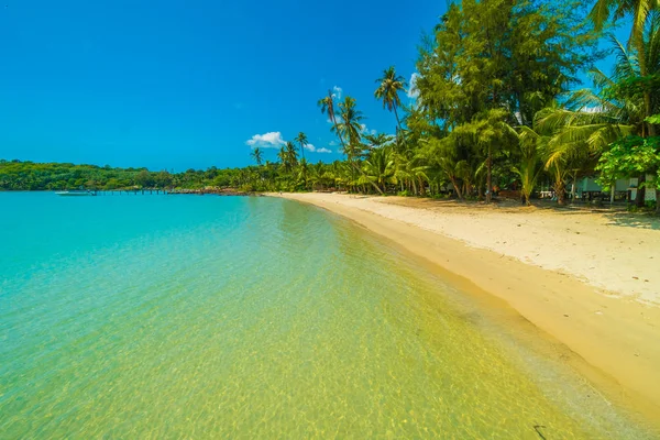 Güzel tropikal plaj ve deniz paradise Island Seyahat ve tatil için Hindistan cevizi hurma ağacı