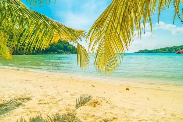Tropisch Strand Zee Met Coconut Palm Tree Paradijseiland Voor Reizen — Stockfoto