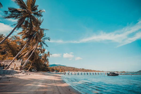 Beautiful Tropical Beach Sea Coconut Palm Tree Paradise Island — Stock Photo, Image