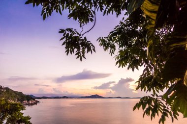 Güzel tropikal deniz okyanus cennet adayı gündoğumu zaman içinde Hindistan cevizi hurma ağacı