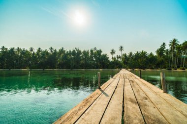 Ahşap köprü ya da plaj ve deniz Hindistan cevizi hurma ağacı - tatil tatil ve seyahat kavramı ile cennet adası iskelede