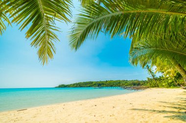 Güzel tropikal plaj ve deniz paradise Island Seyahat ve tatil için Hindistan cevizi hurma ağacı