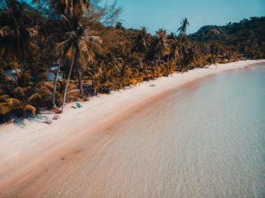 Güzel doğa tropikal plaj ve deniz kayık tekne ve Hindistan cevizi hurma ağacı Cennet Adası için seyahat etmek tatil