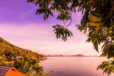 Güzel tropikal deniz okyanus cennet adayı gündoğumu zaman içinde Hindistan cevizi hurma ağacı