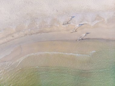 Hamak güzel hava manzara plaj ve deniz tatil için