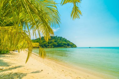 Güzel tropikal plaj ve deniz paradise Island Seyahat ve tatil için Hindistan cevizi hurma ağacı