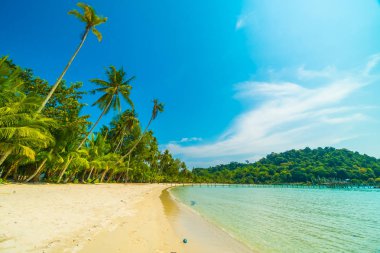 Güzel tropikal plaj ve deniz paradise Island Seyahat ve tatil için Hindistan cevizi hurma ağacı