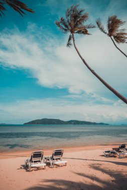 Güzel tropikal plaj ve Hindistan cevizi hurma ağacı ve Cennet Adası sandalyede denize sıfır