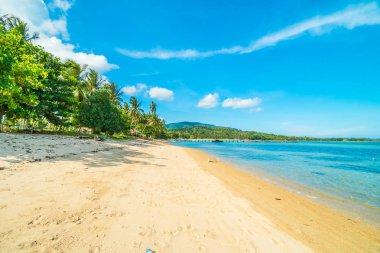 Güzel tropikal plaj ve Hindistan cevizi hurma ağacı Cennet Adası