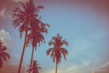 Gökyüzü günbatımı zaman - Vintage filtre tropikal doğa ve siluet Hindistan cevizi hurma ağacı ile güzel açık görünüm