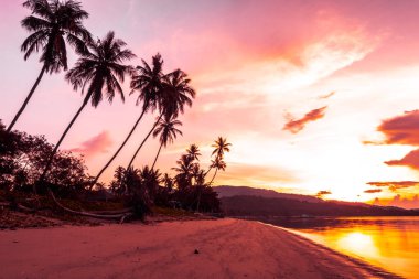 Güzel açık görünüm ea okyanus ve plaj tropikal Hindistan cevizi hurma ağacı gündoğumu zaman tatil tatil ve seyahat için