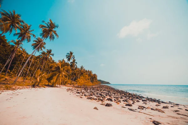 Wunderschöner Natur Tropischer Strand Und Meer Mit Kokospalmen Auf Paradiesinsel — Stockfoto