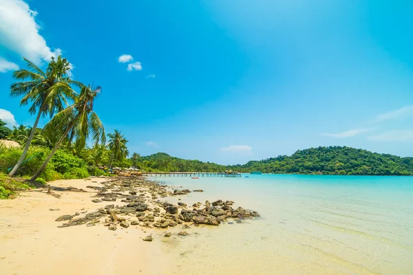 Beautiful Tropical Beach Sea Coconut Palm Tree Paradise Island Travel — Stock Photo, Image