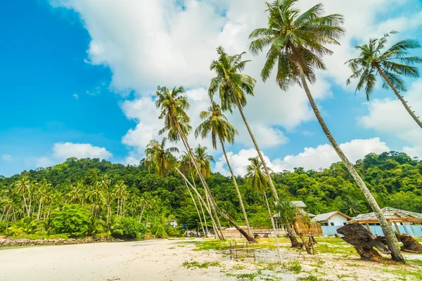 Beautiful Tropical Beach Sea Coconut Palm Tree Paradise Island Travel — Stock Photo, Image