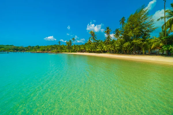 Güzel tropikal plaj ve deniz paradise Island Seyahat ve tatil için Hindistan cevizi hurma ağacı