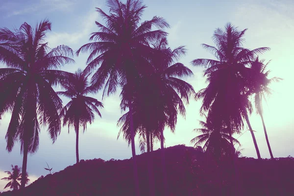 Gökyüzü günbatımı zaman - Vintage filtre tropikal doğa ve siluet Hindistan cevizi hurma ağacı ile güzel açık görünüm