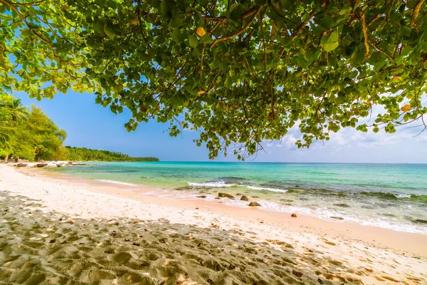 Güzel cennet tropikal plaj ve deniz - tatil tatil kavramı