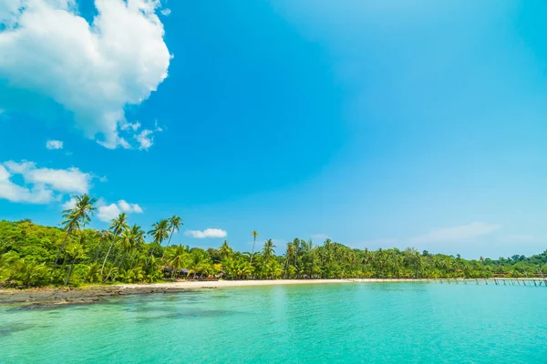 Beautiful Tropical Beach Sea Coconut Palm Tree Paradise Island Travel — Stock Photo, Image