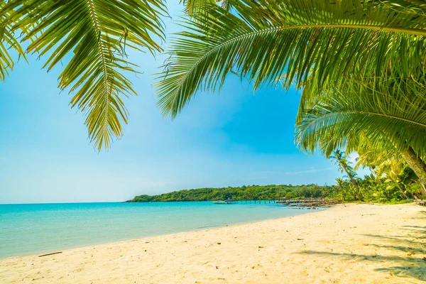 Пляж Море Кокосовой Пальмой Острове Парадизе Путешествий Отдыха — стоковое фото