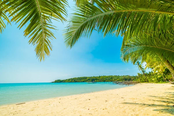 Hermosa Playa Tropical Mar Con Palmera Coco Isla Paradisíaca Para — Foto de Stock