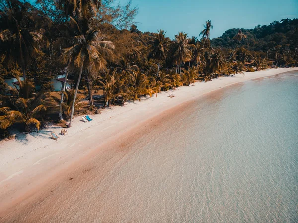 Güzel doğa tropikal plaj ve deniz kayık tekne ve Hindistan cevizi hurma ağacı Cennet Adası için seyahat etmek tatil