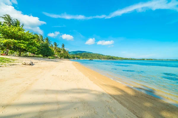 Beautiful Tropical Beach Sea Coconut Palm Tree Paradise Island — Stock Photo, Image