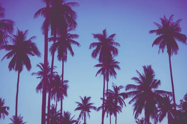 Gökyüzü günbatımı zaman - Vintage filtre tropikal doğa ve siluet Hindistan cevizi hurma ağacı ile güzel açık görünüm