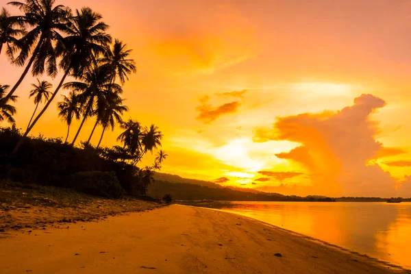 Beautiful Outdoor View Ocean Beach Tropical Coconut Palm Sunrise Time — стоковое фото