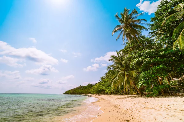 Güzel Cennet Adası ile Hindistan cevizi hurma ağacı - tatil tatil kavramı etrafında deniz ve plaj peyzaj