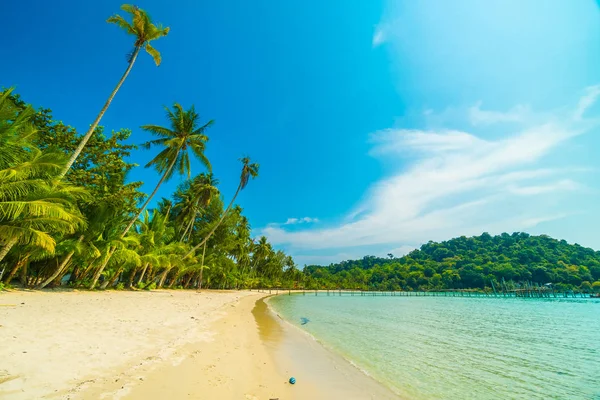 Güzel tropikal plaj ve deniz paradise Island Seyahat ve tatil için Hindistan cevizi hurma ağacı