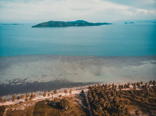 Güzel tropikal plaj ve deniz hurma ve koh samui Adası seyahat ve tatil için diğer ağacında havadan görünümü