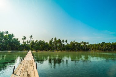 Ahşap köprü ya da plaj ve deniz Hindistan cevizi hurma ağacı - tatil tatil ve seyahat kavramı ile cennet adası iskelede