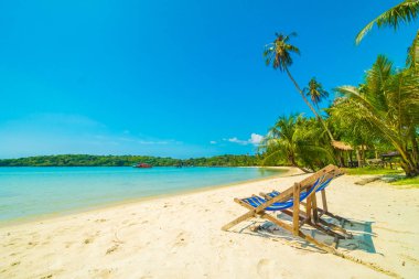 Güzel tropikal plaj ve deniz paradise Island Seyahat ve tatil için Hindistan cevizi hurma ağacı