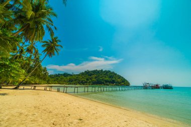 Güzel tropikal plaj ve deniz paradise Island Seyahat ve tatil için Hindistan cevizi hurma ağacı