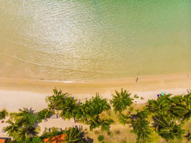 Plaj ve deniz paradise Island tatil için Hindistan cevizi hurma ağacı ile güzel havadan görünümü
