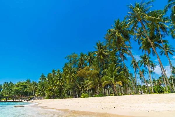 Güzel tropikal plaj ve Hindistan cevizi hurma ağacı Cennet Adası - tatil tatil kavramı ile